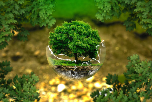 écologie produits écoresponsable