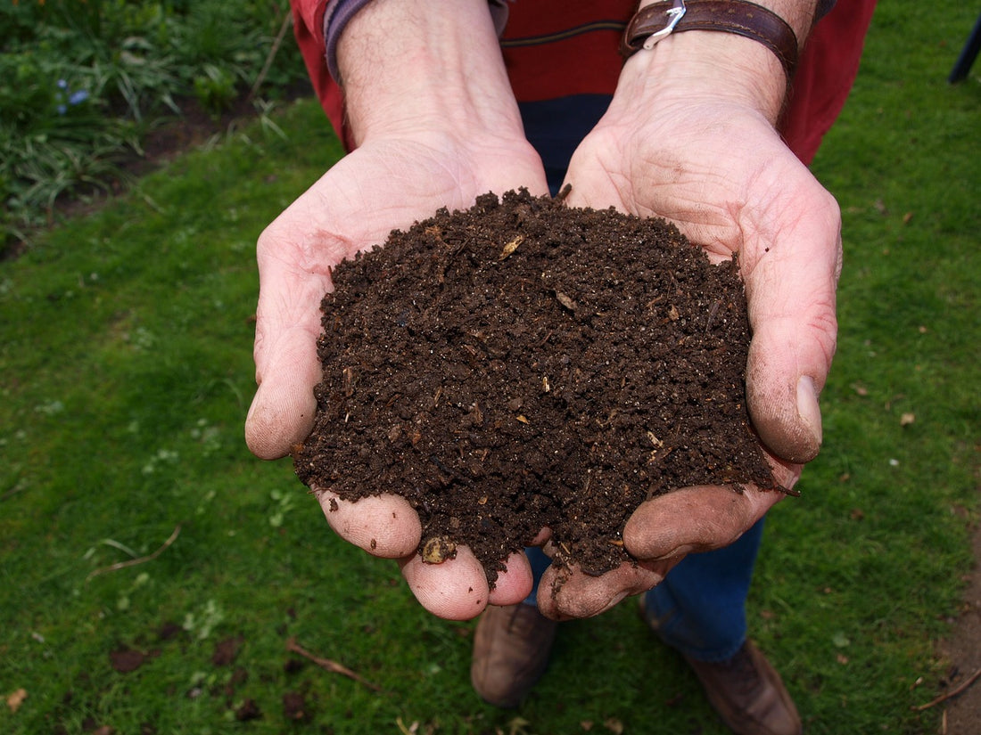 compost zéro déchet bio