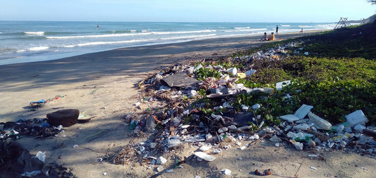 polution plastique zéro déchets 